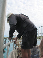 Willie Creek Pearl Farm